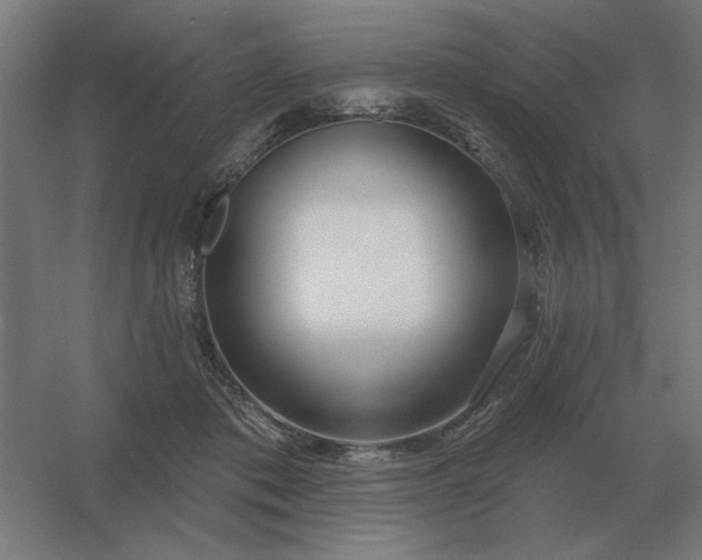 X0000054420413200508121756