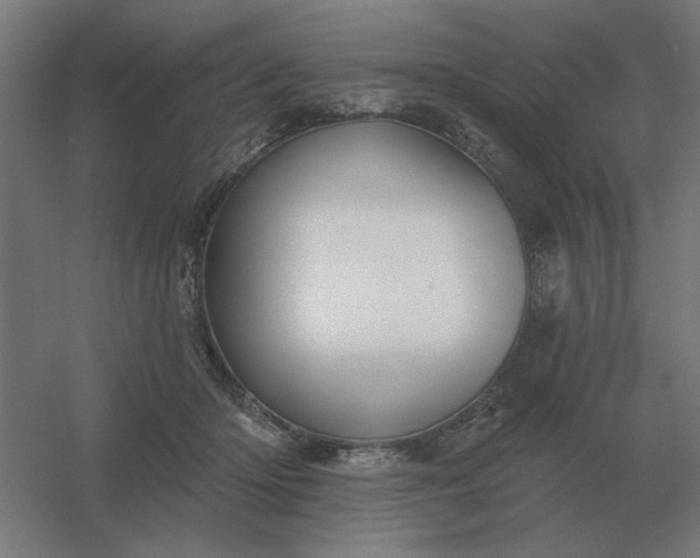 X0000054420414200508121756