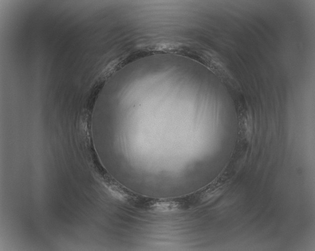 X0000054420415200508121756