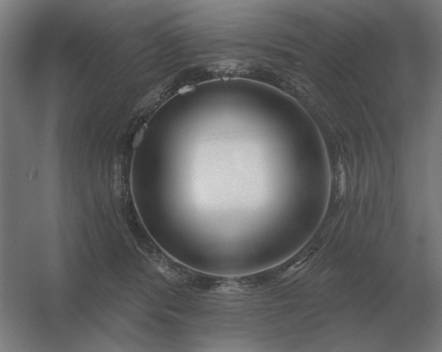 X0000054420416200508121756