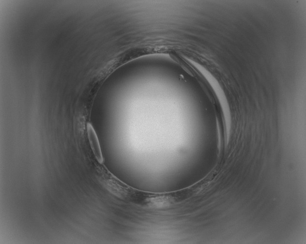 X0000054420417200508121756