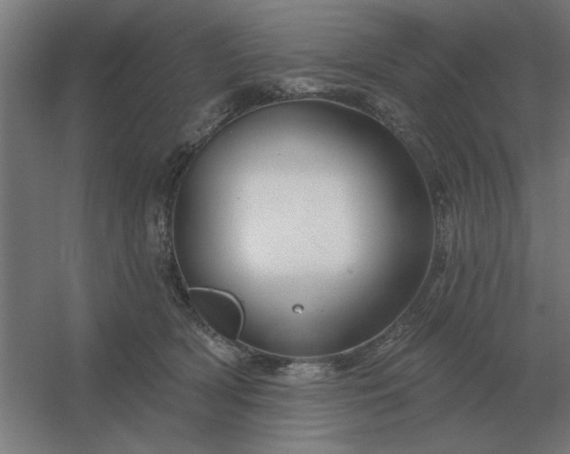 X0000054420418200508121756