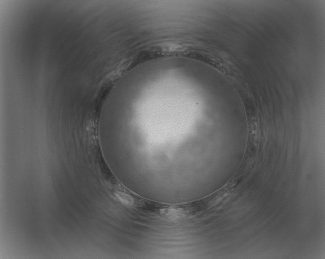 X0000054420419200508121756