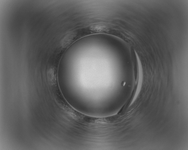 X0000054420420200508121756