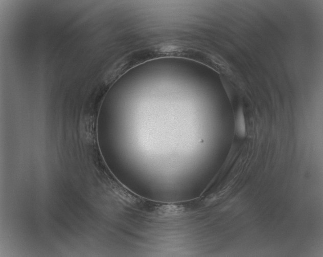 X0000054420421200508121756