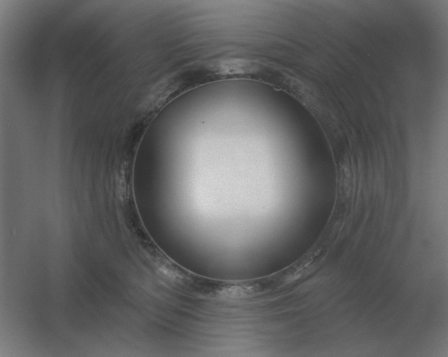 X0000054420422200508121756