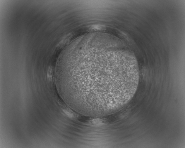 X0000054420423200508121756