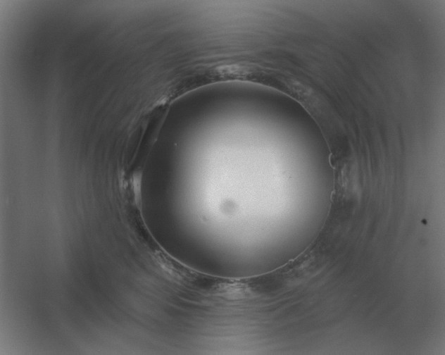 X0000054420424200508121756