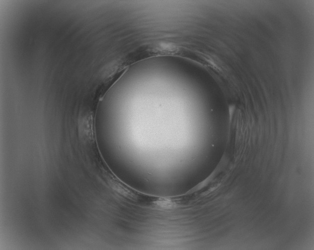 X0000054420425200508121756