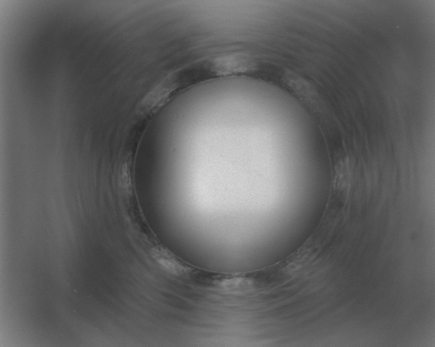 X0000054420426200508121756