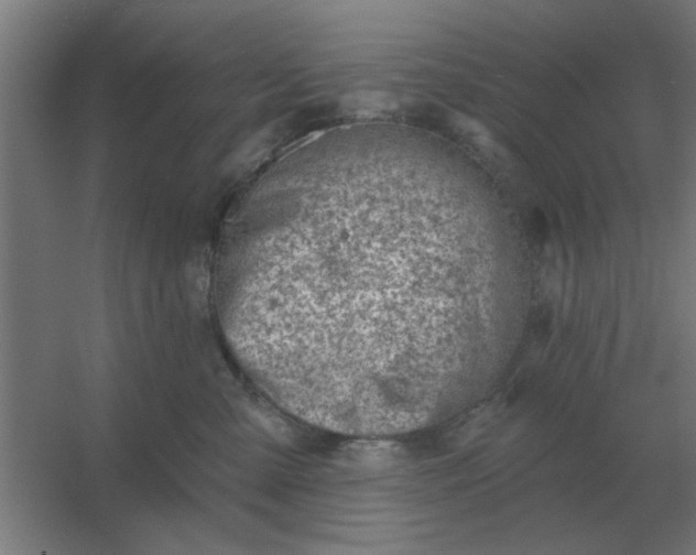 X0000054420427200508121756