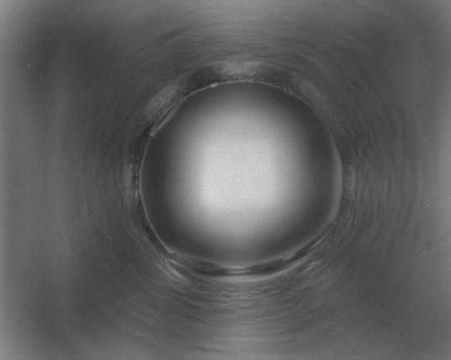 X0000054420428200508121756