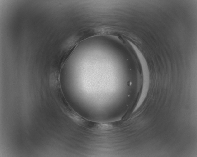 X0000054420429200508121756