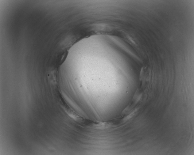 X0000054420430200508121756