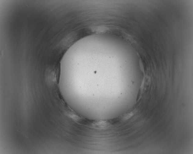 X0000054420431200508121756