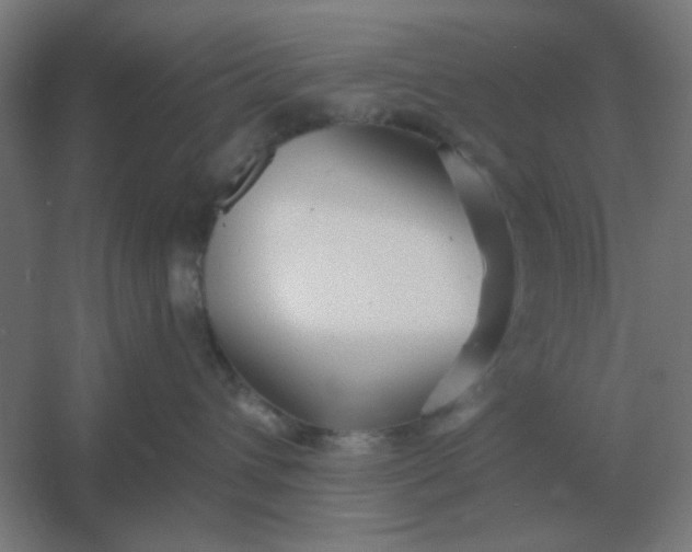 X0000054420432200508121756