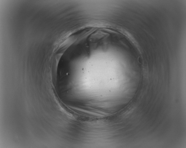 X0000054420433200508121755