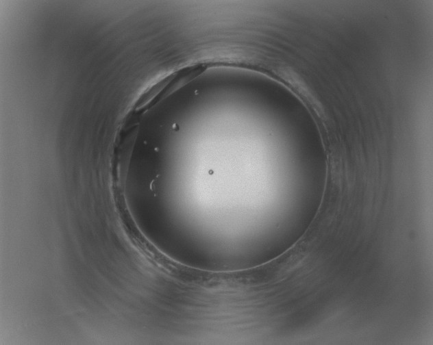 X0000054420434200508121755