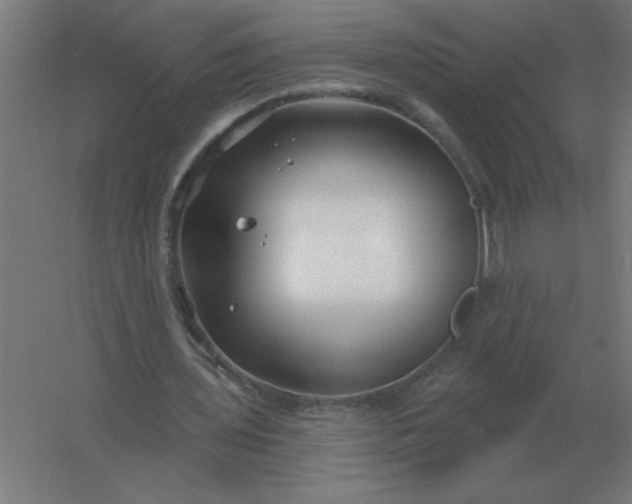 X0000054420435200508121755