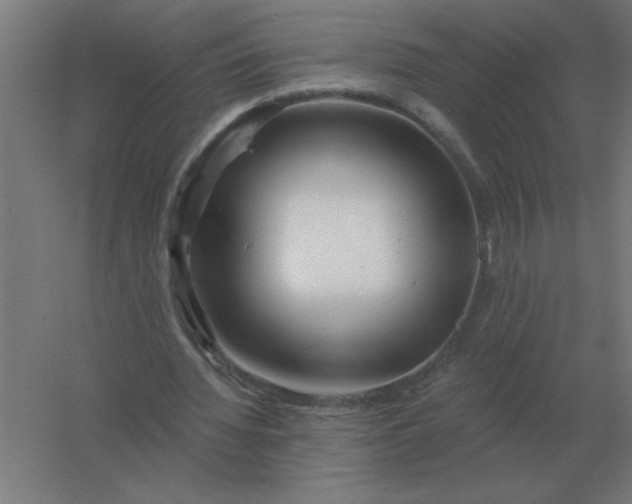 X0000054420436200508121755