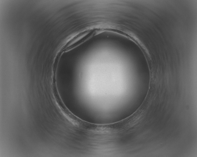 X0000054420437200508121755