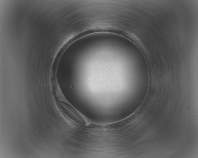 X0000054420439200508121755