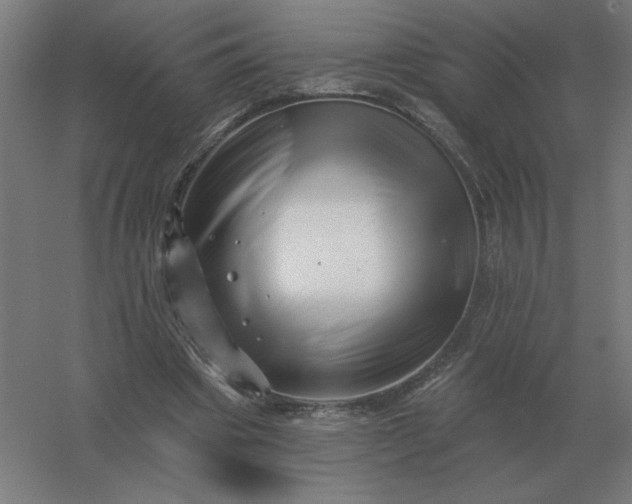 X0000054420441200508121755