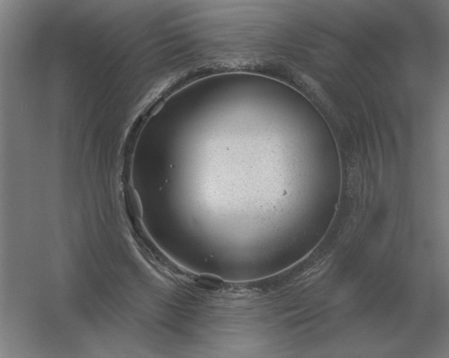 X0000054420443200508121755