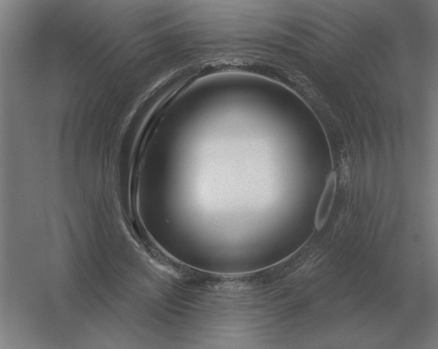 X0000054420444200508121755