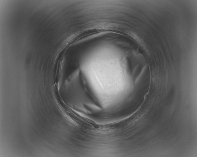 X0000054420445200508121756