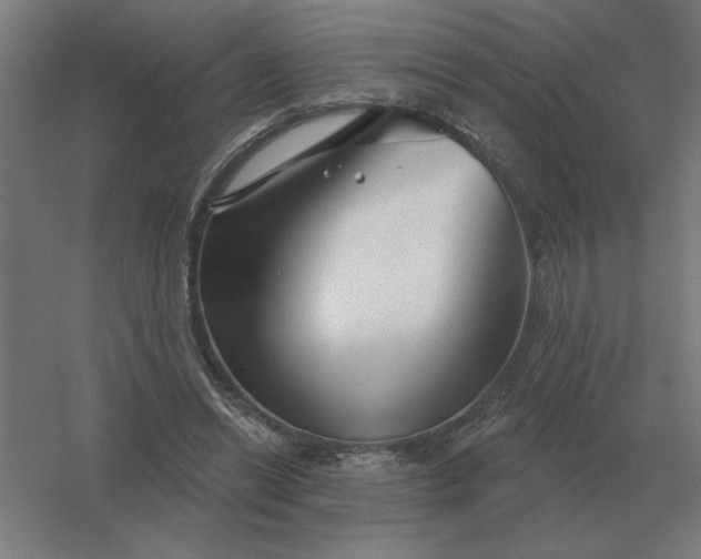 X0000054420446200508121756