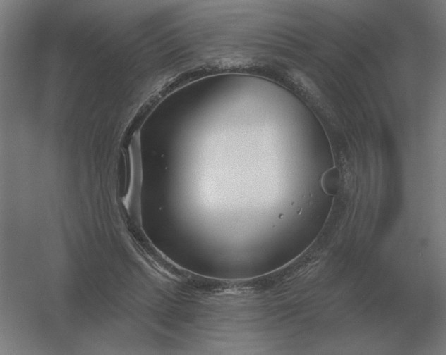 X0000054420447200508121756