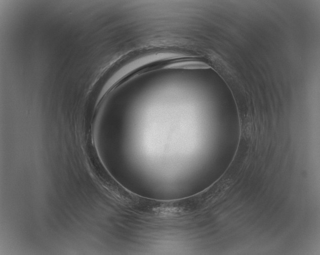 X0000054420448200508121756