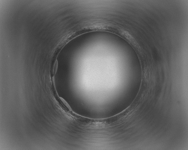 X0000054420449200508121756