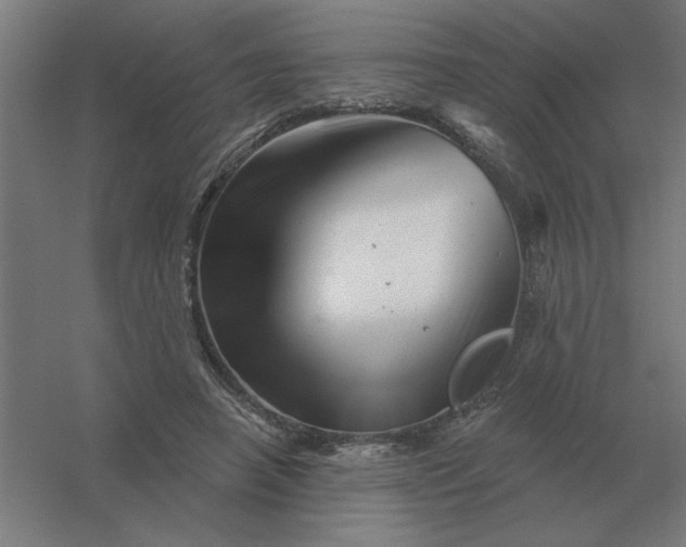 X0000054420450200508121756