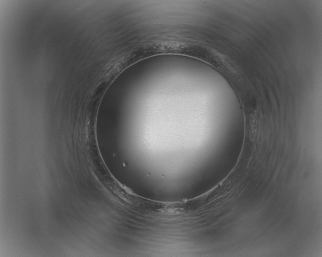 X0000054420451200508121756