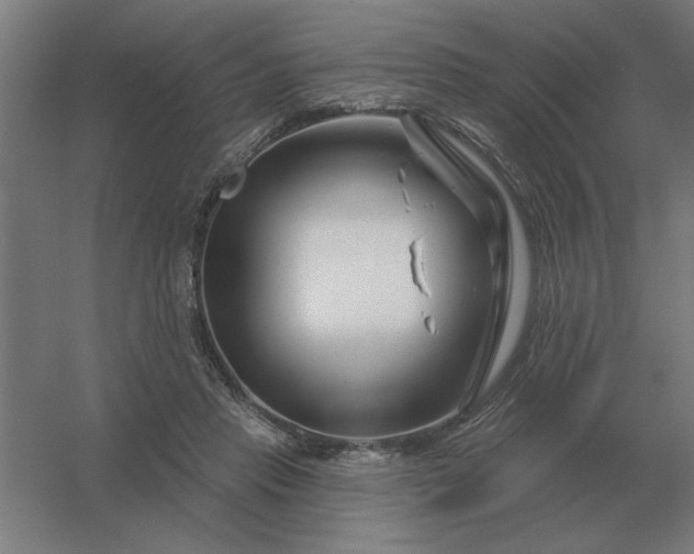 X0000054420453200508121756