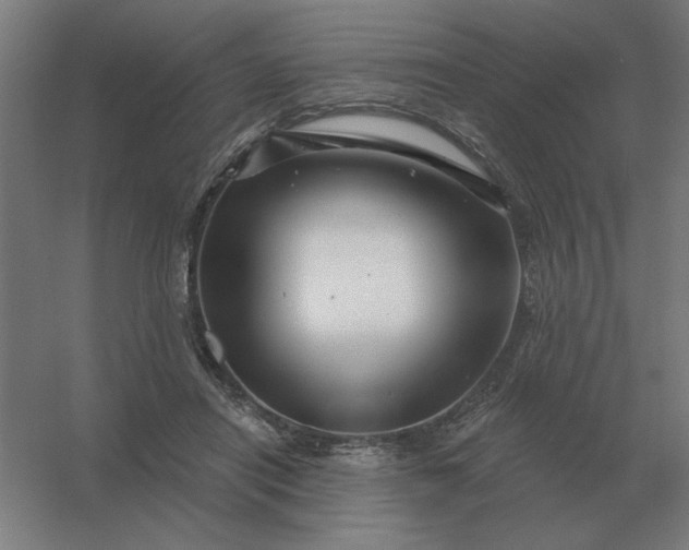 X0000054420454200508121756