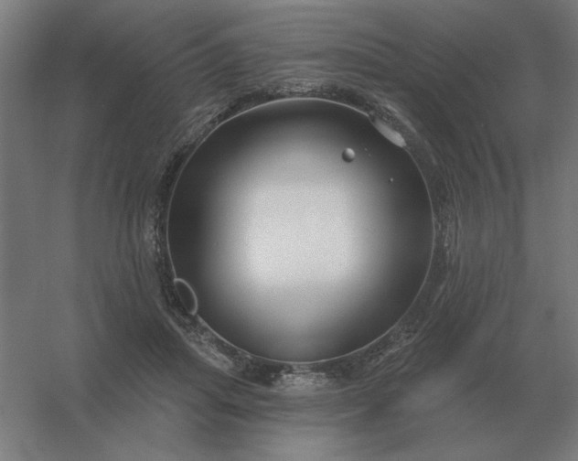 X0000054420455200508121756