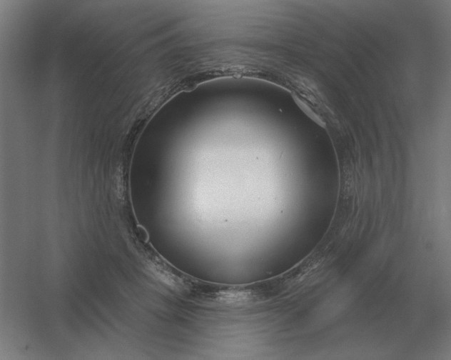 X0000054420457200508121756