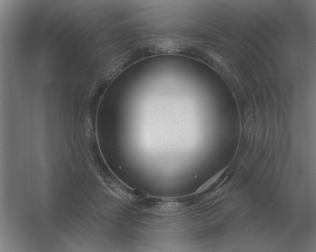 X0000054420459200508121756