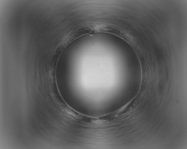 X0000054420461200508121756