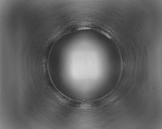 X0000054420462200508121756