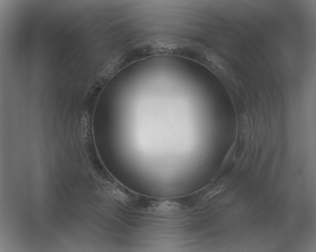 X0000054420463200508121756