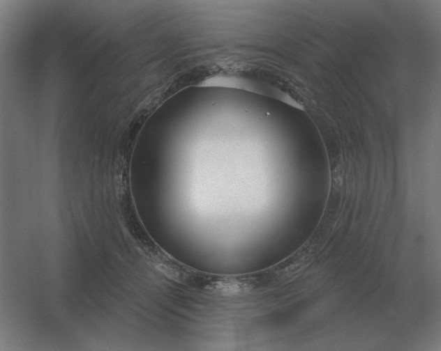 X0000054420464200508121756