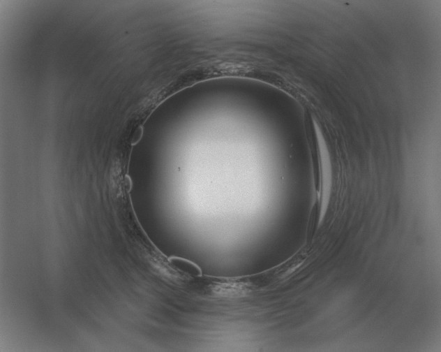 X0000054420465200508121756