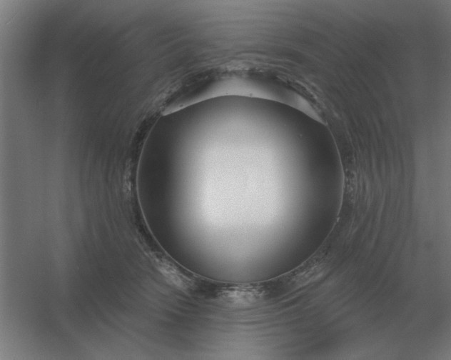 X0000054420466200508121756