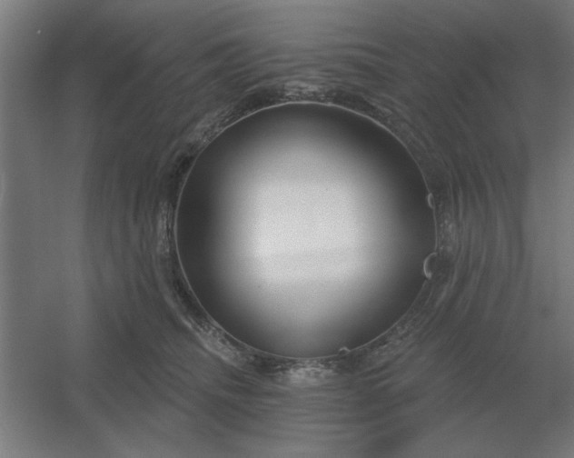 X0000054420468200508121756