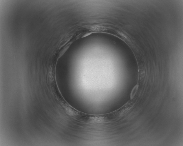 X0000054420469200508121756