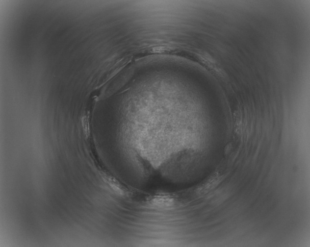 X0000054420471200508121756